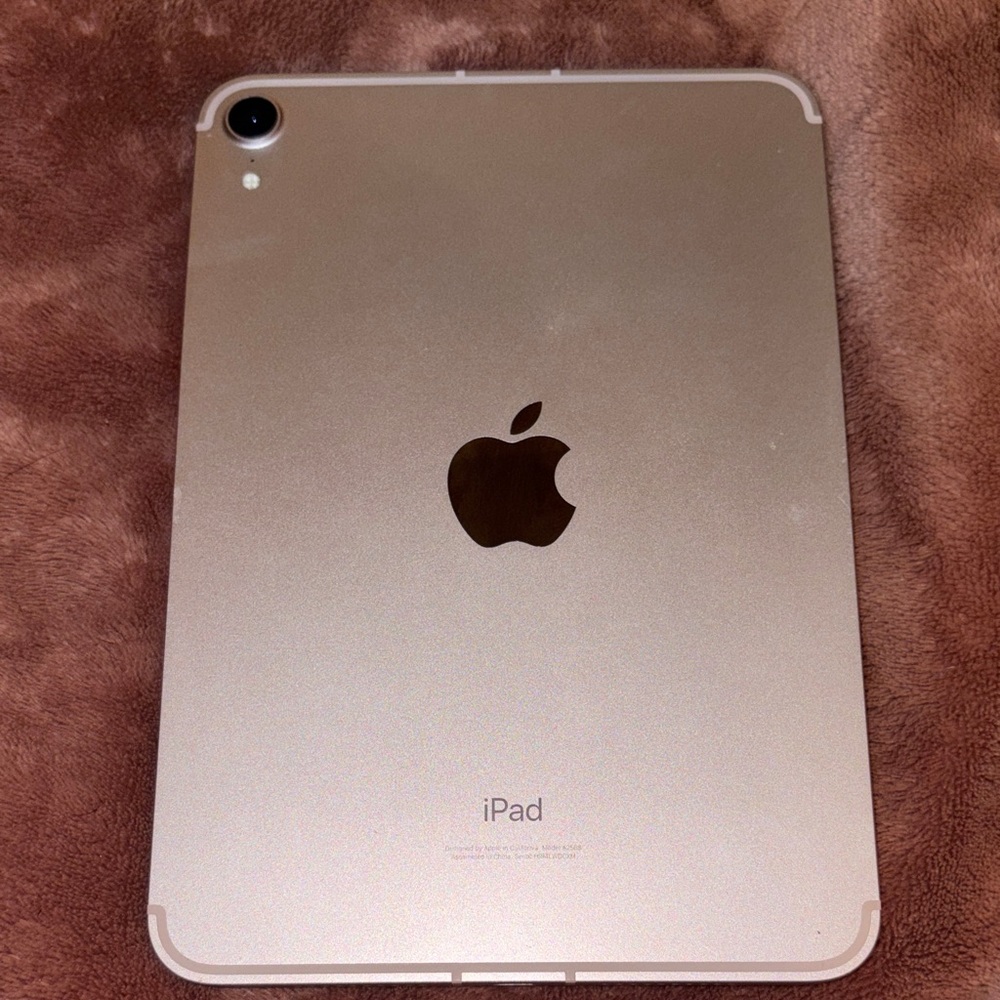 Apple iPad mini
